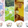 Four Seasons Glasses