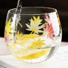 Four Seasons Glasses